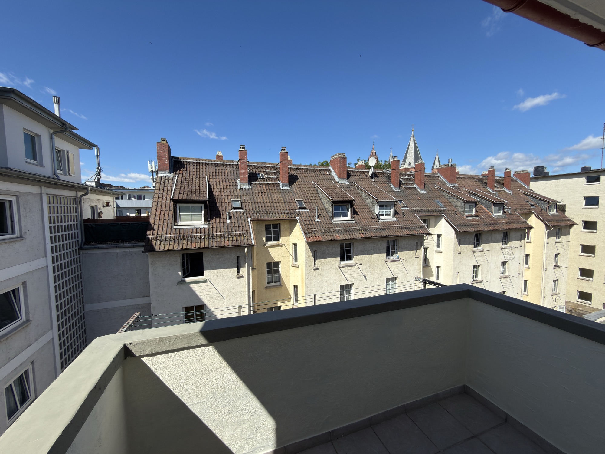 Blick über die Dächer der Mainzer Altstadt
